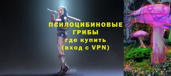 a pvp Белокуриха