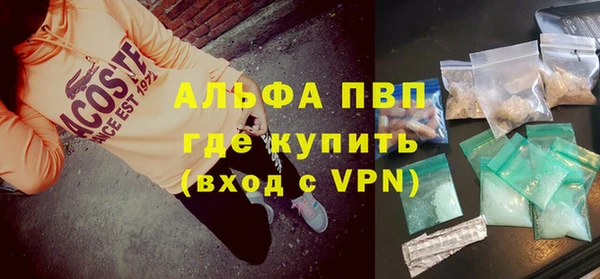 a pvp Белокуриха