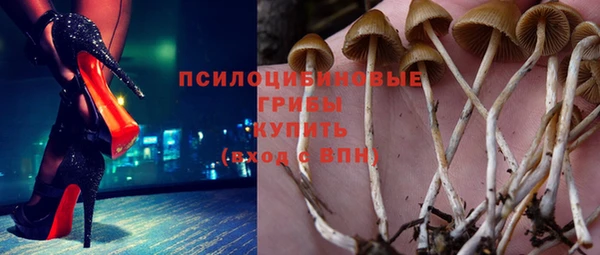 a pvp Белокуриха