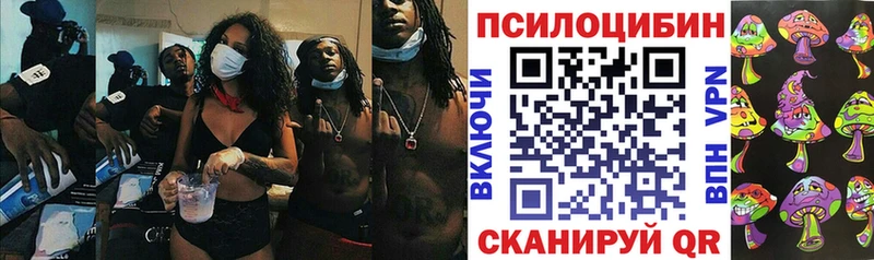 дарк нет клад  Сегежа  Псилоцибиновые грибы MAGIC MUSHROOMS 
