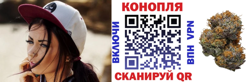 Шишки марихуана планчик  Сегежа 